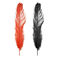 Pluma Colorida 40cm General Import