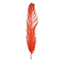 Pluma Colorida 40cm General Import
