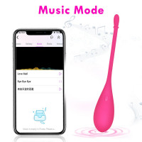 Vibrador Magic Straight Aplicativo Interativo 4 Vibrações General Import