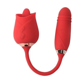 Vibrador Ponto G e Clitóris Vai e Vem Rosa 2 Flowery Plus General Import